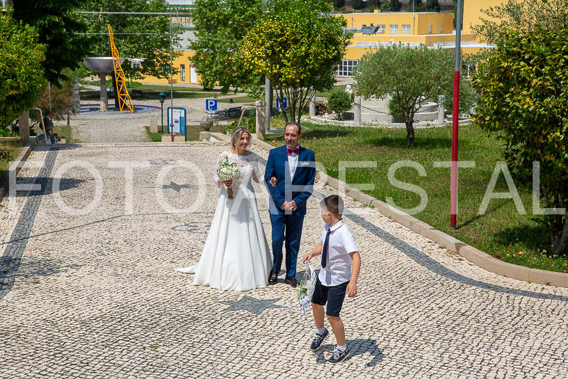 _MG_3174